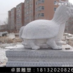 龍龜石雕，漢白玉龍龜?shù)袼? width=