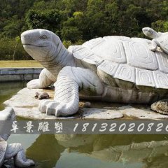 烏龜石雕，漢白玉烏龜?shù)袼? width=