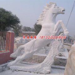 石雕馬，漢白玉馬雕塑，馬踏祥云石雕