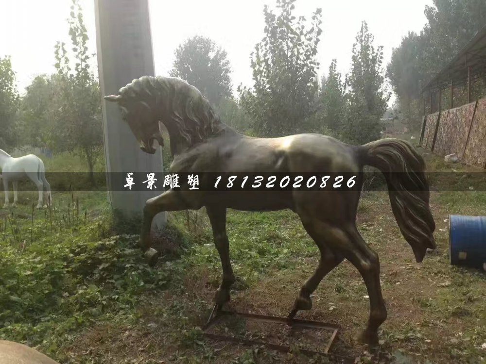 馬銅雕，公園動(dòng)物銅雕