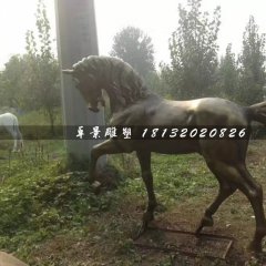 馬銅雕，公園動物銅雕