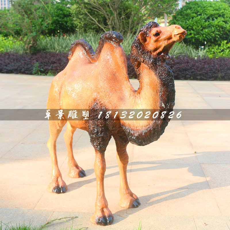 駱駝雕塑，動物玻璃鋼動物 (3)