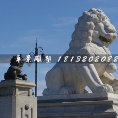 石獅子，漢白玉獅子雕塑