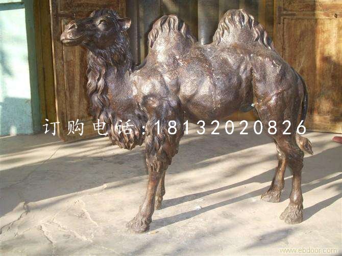 公園駱駝銅雕，動(dòng)物銅雕 (2)
