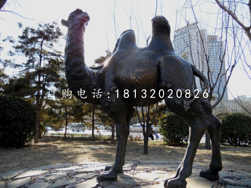玻璃鋼駱駝雕塑，仿銅動物雕塑
