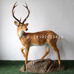 玻璃鋼梅花鹿，公園仿真動物