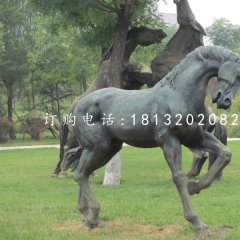 公園馬雕塑，銅雕馬