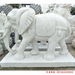 石雕大象比例